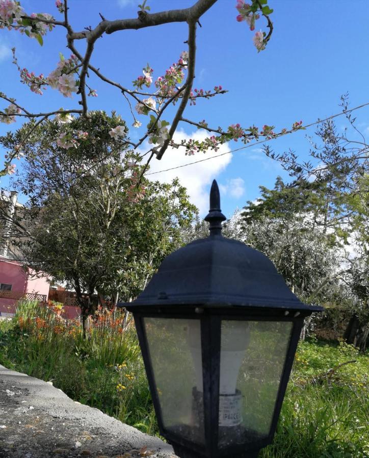 Albero Della Musica Acomodação com café da manhã Sássari Exterior foto