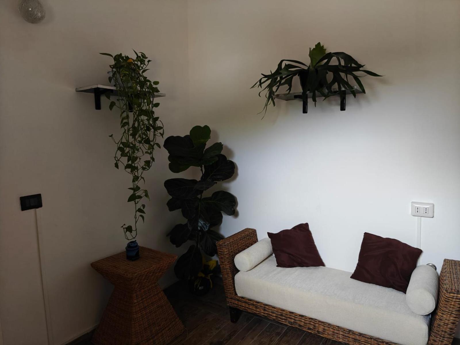 Albero Della Musica Acomodação com café da manhã Sássari Exterior foto